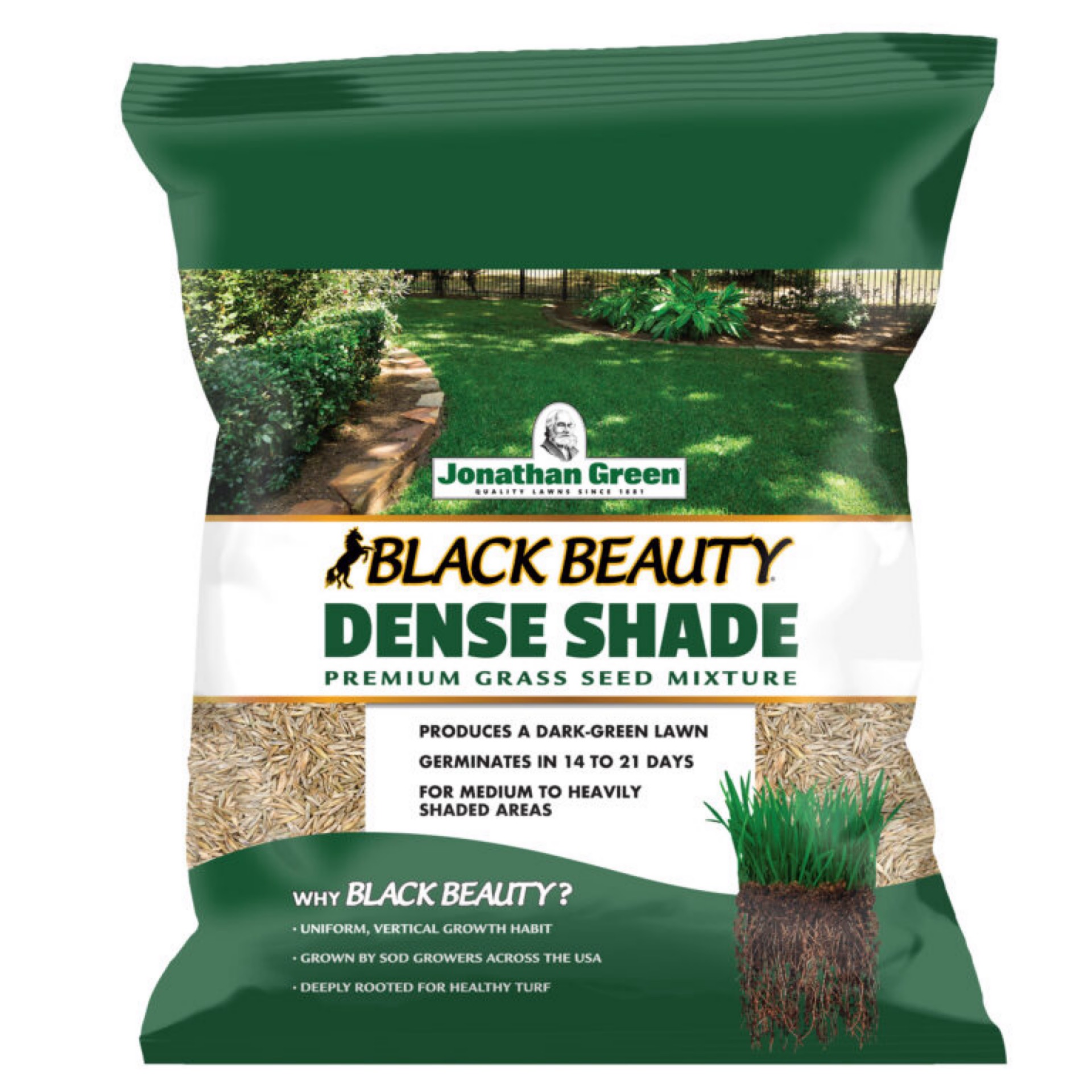 Black Beauty Dense Shade Seed Mix 25lb Bag - Image 1